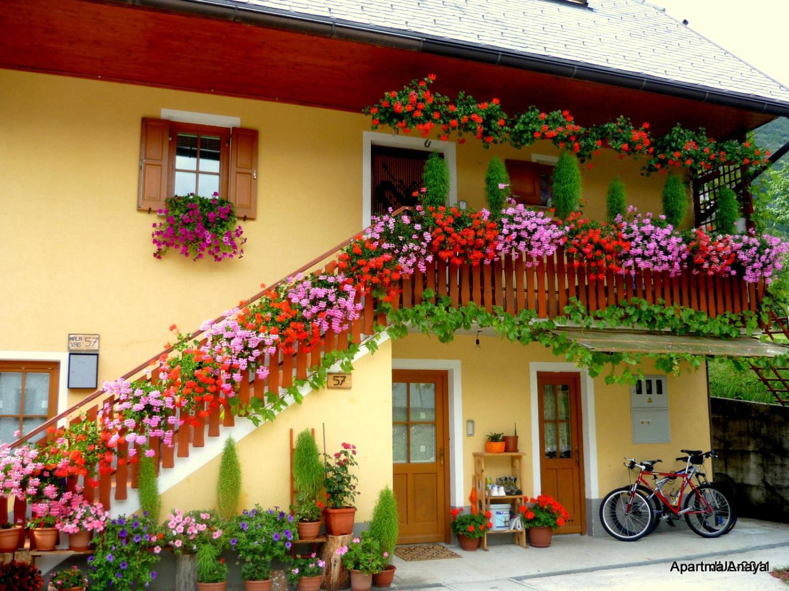 Apartma Anaya * Bovec