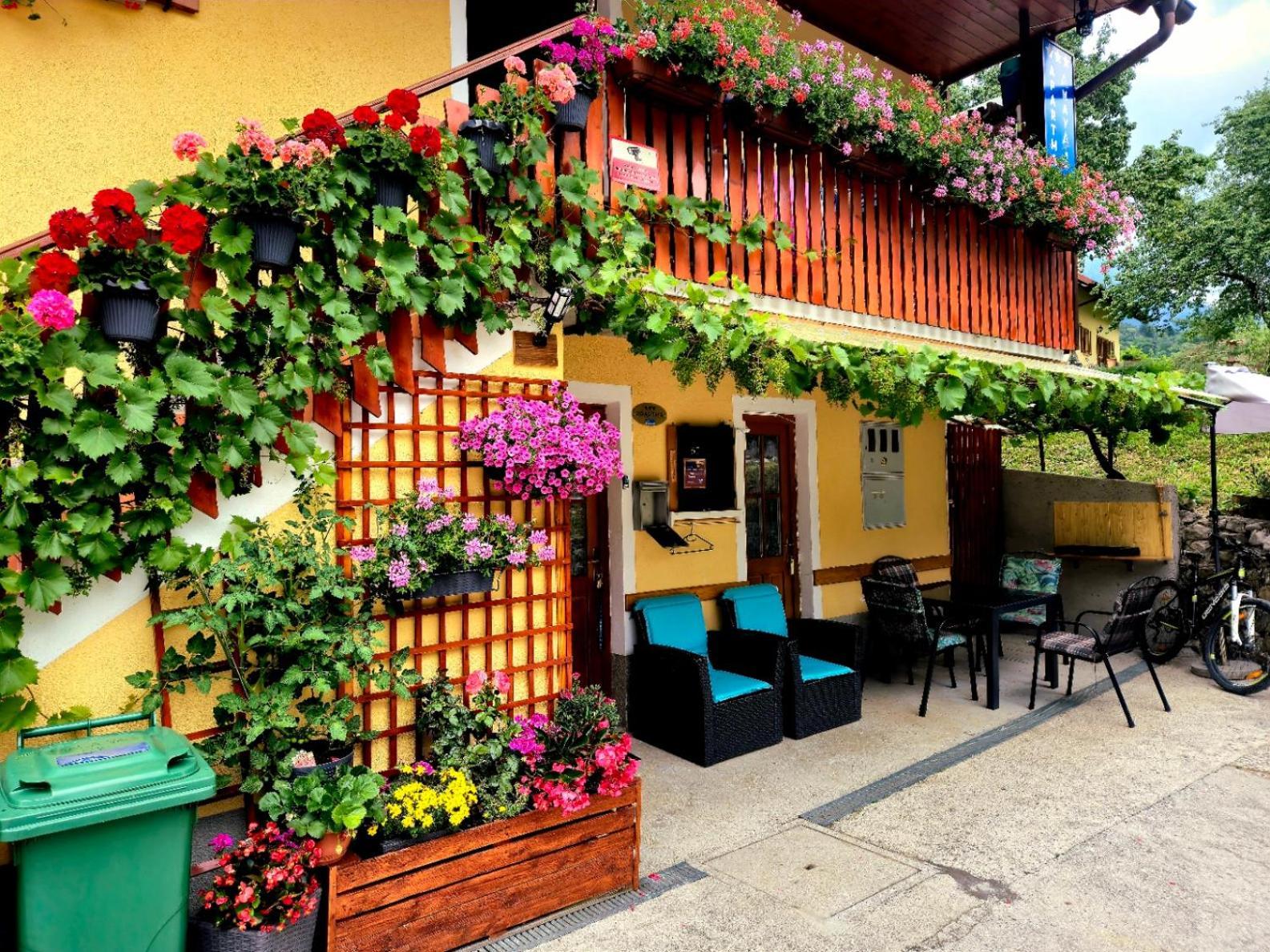 Apartma Anaya Bovec