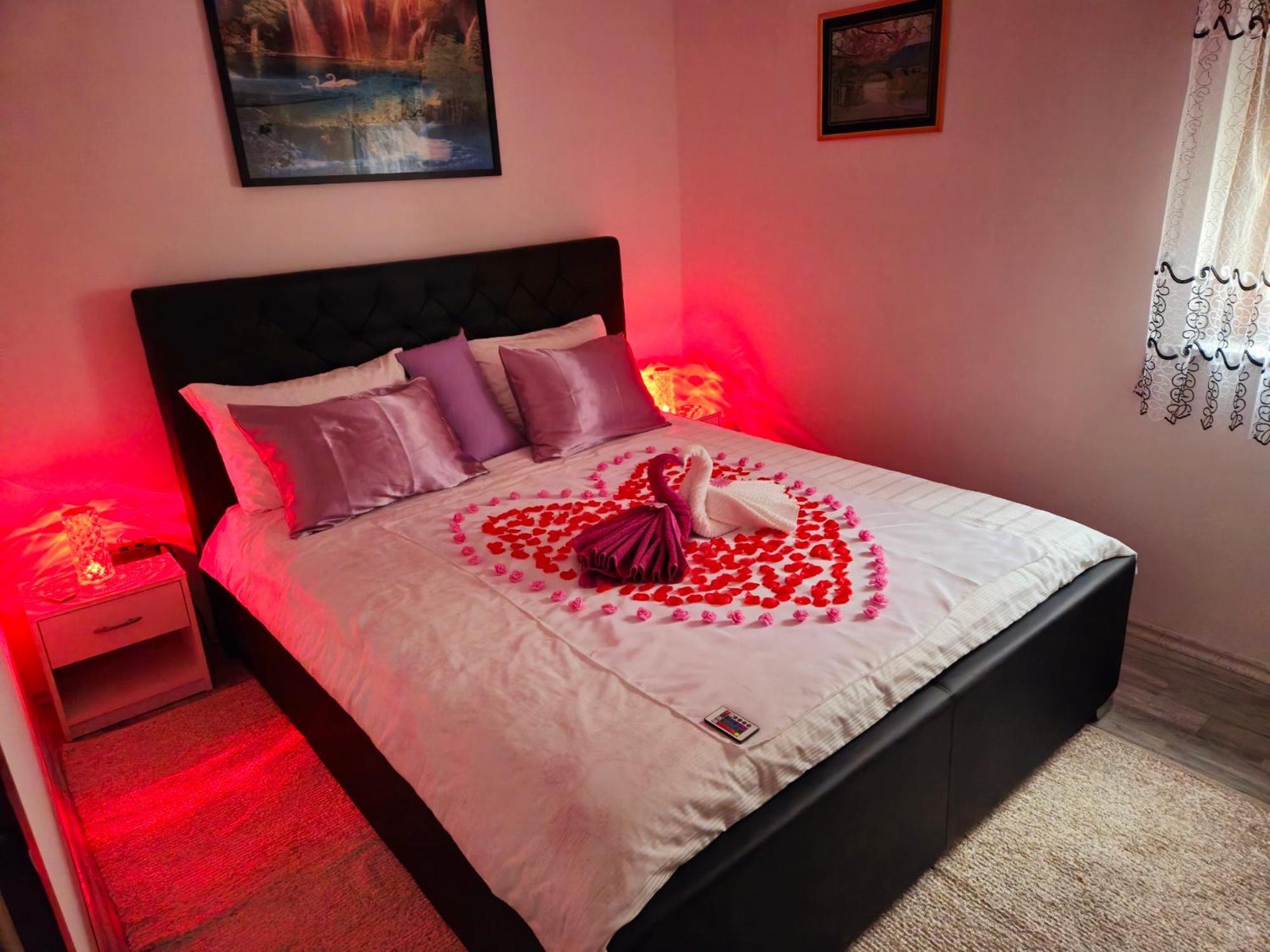 Apartma Anaya
